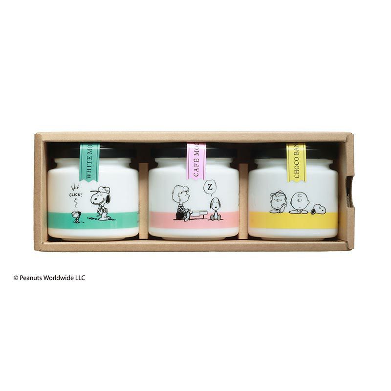 PEANUTS COFFEE スヌーピー コーヒー 3個入りギフトセット Spring