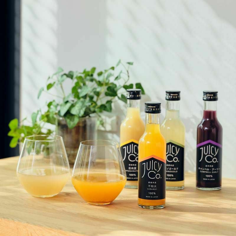 JUICY Co. Assort Giftアソート6本ギフトセット
